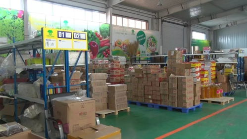奇臺縣政協視察電子商務工作，推動服務升級賦能縣域發展